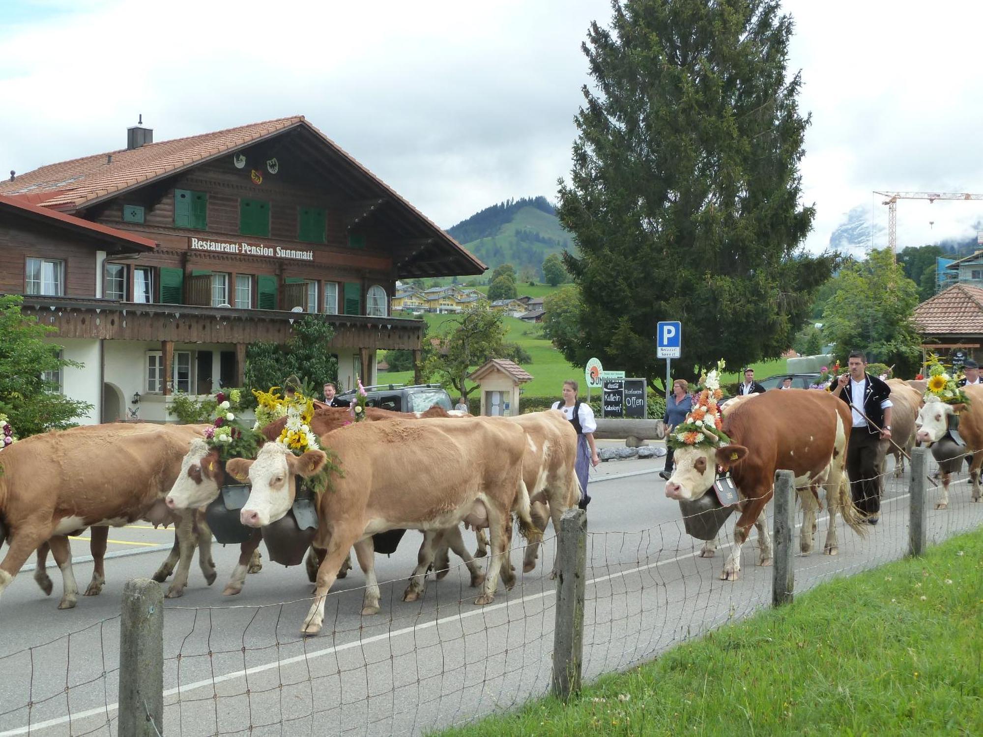 Hotel Restaurant Sunnmatt Aeschi Bei Spiez Exterior photo