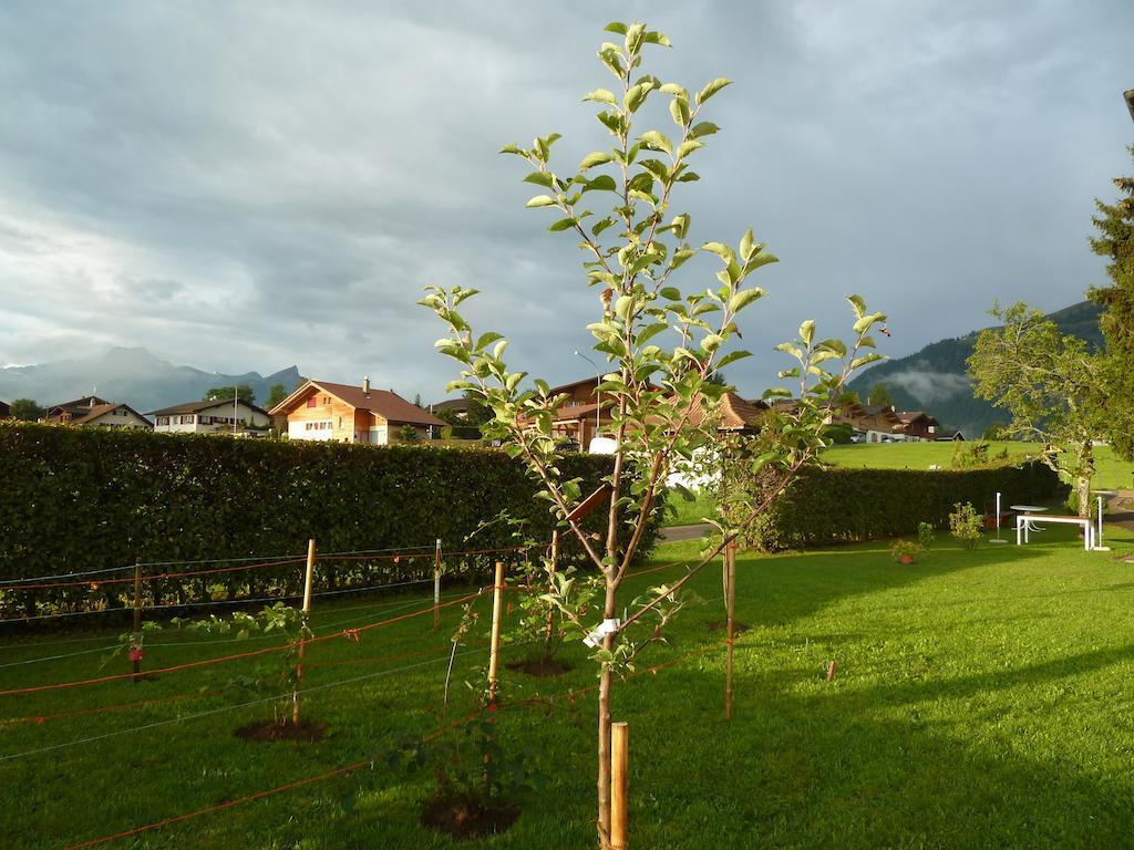 Hotel Restaurant Sunnmatt Aeschi Bei Spiez Exterior photo